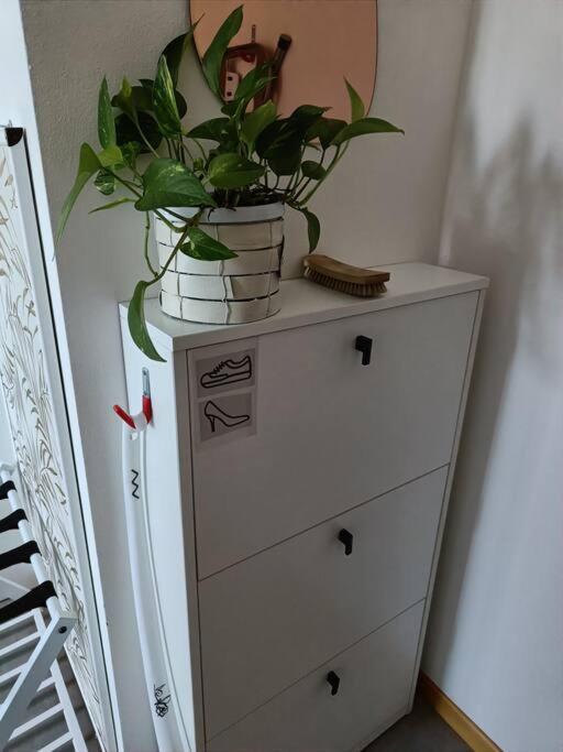 Art-apart Lt Con Giardino Privato Appartamento